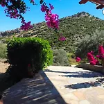 Emma's House Near