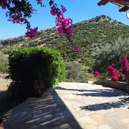 Emma's House Near