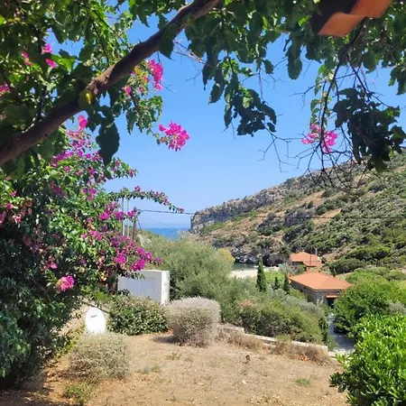 Emma's House Near شقة *