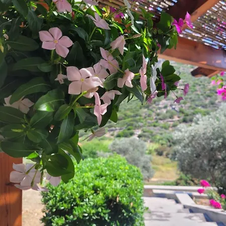 Emma's House Near شقة